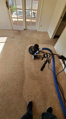 Carpet cleaning