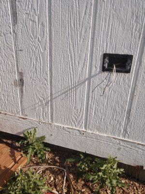 A live outlet in the back yard