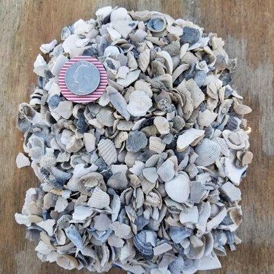 Sanibel Shell (crushed)