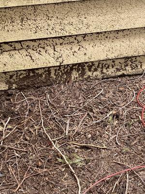 Dirt up against our siding around all three buildings