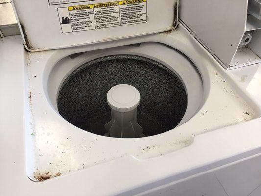 Filthy washing machines so make sure you find a decent one