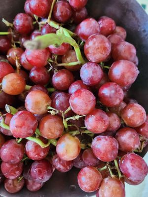 $1.88 for red seedless grapes