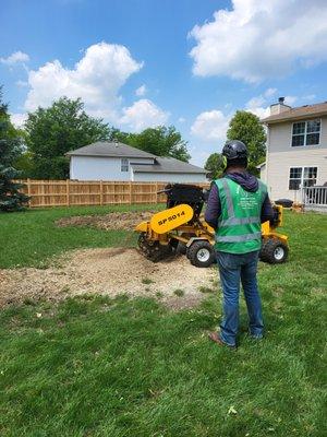 Garcia's Tree Service