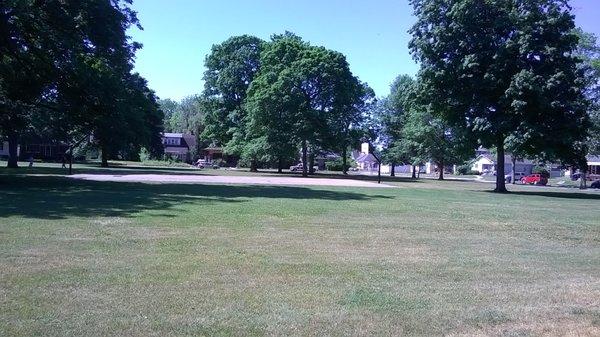 open spaces and shade trees