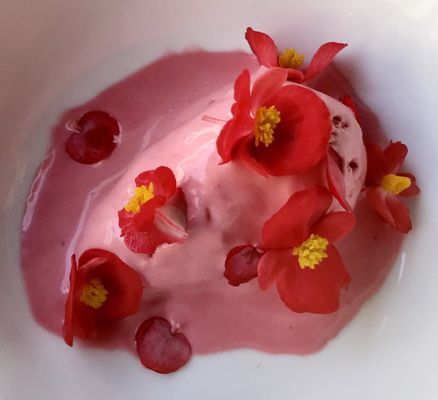 Beet Ice Cream with Edible Begonias!  Delicious!!!