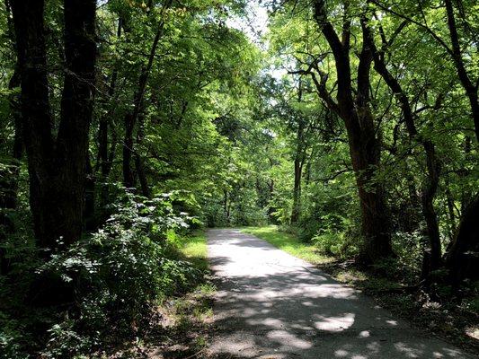 Wooded Bike/Hike Trail (1.08 miles, 10 ft wide)