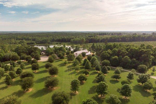 Auburn Oaks Farm