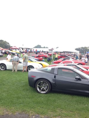 Miles and Miles of Corvettes