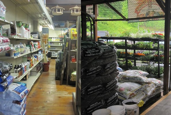 inside and out at Linnton Feed & Seed