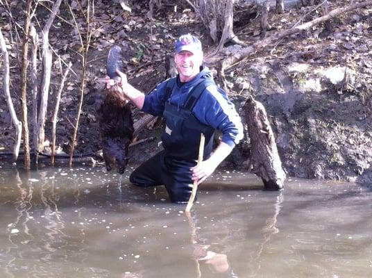 Beaver trapping