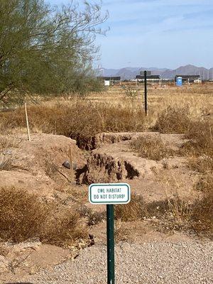 Large area to protect the burrowing owls from humans.