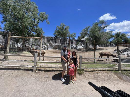 Family at the zoo