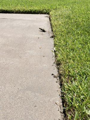 They skipped the acid wash on the walkway and entryway and it's already peeling away after only a couple weeks.