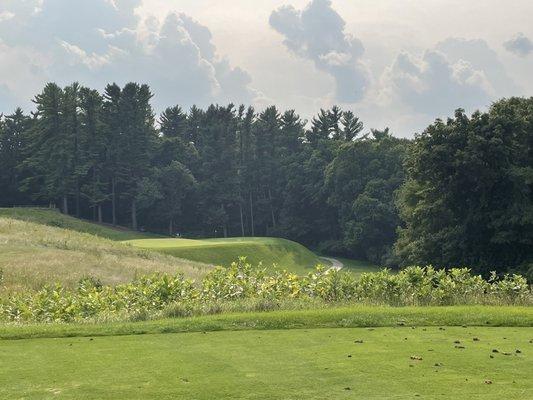 beautiful par 3