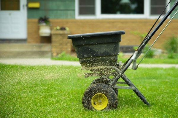 Overseeding