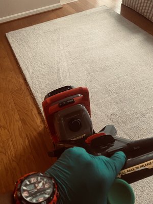 Carpet cleaning is a passion not just a job, We love transformation.