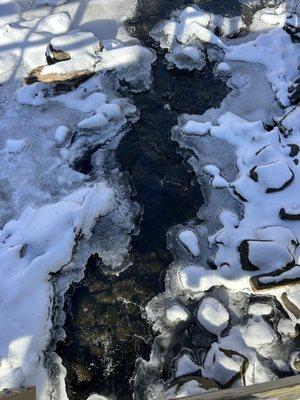 Icy creek 2