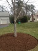 April mulch!