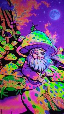 Magic Mushrooms