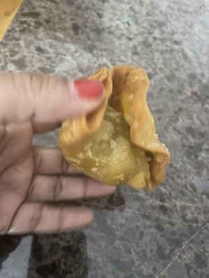 C'mon Royal Punjab, you know better than to wrap a samosa like this. Disappointing.