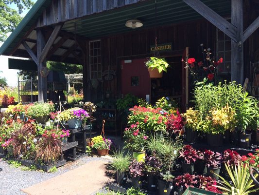 Seed shed at Danas