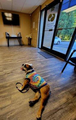 Our lobby is newly remodeled*


*Puppy not included. :)