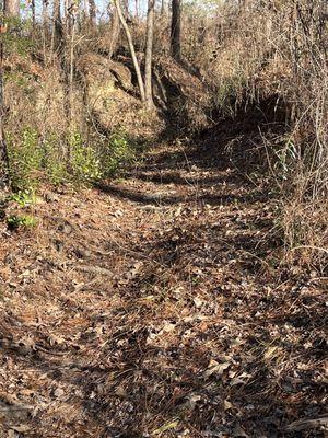 Tuskegee National Forest