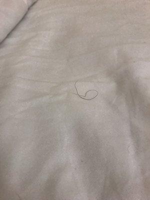 A PUBE IN THE BED!