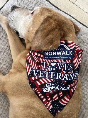 Custom doggie bandanas for the city of Norwalk