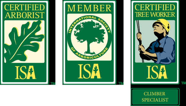 Tree Service of Lafayette ISA Certified arborists