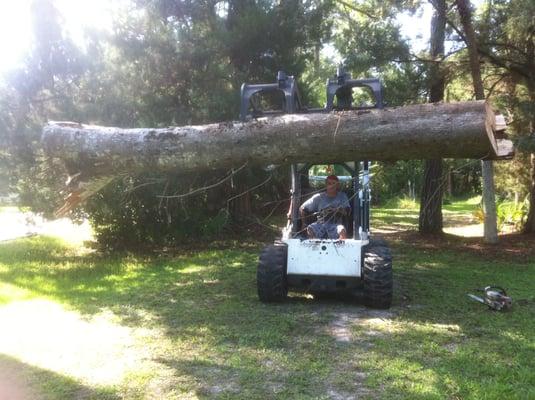 Big Hardwood Trees we do it !