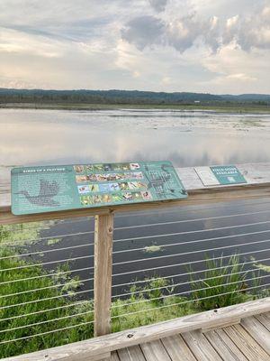 Arcadia Dunes Nature Preserve