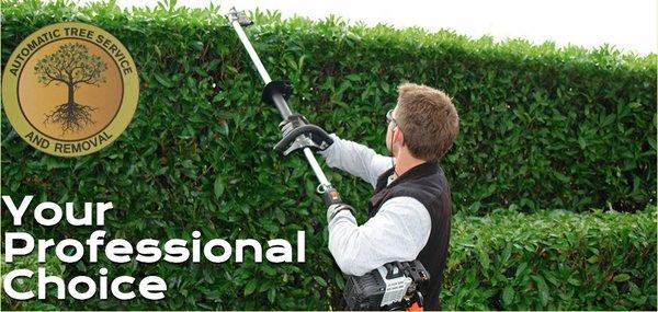 Automatic Tree Service