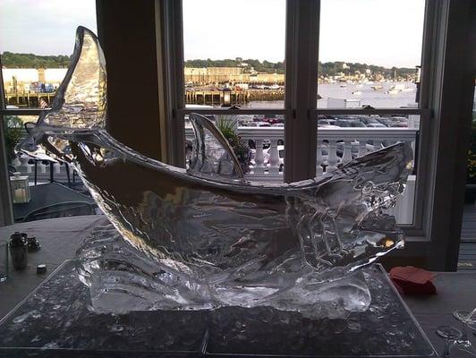 Shark ice luge...this thing was huge!