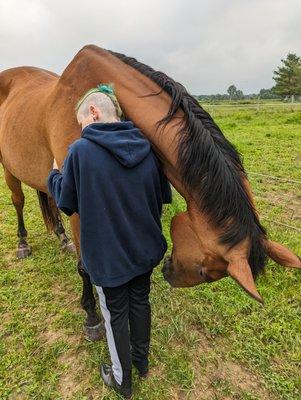 A Horse Knows
 
 Ask us about
 Natural Horsemanship.
 Email us naturalanimaltrainer@gmail.com