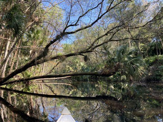 Cracker Creek Canoeing