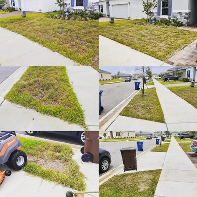 Even if you lawn doesn't look great, we will cut it and make it look better....