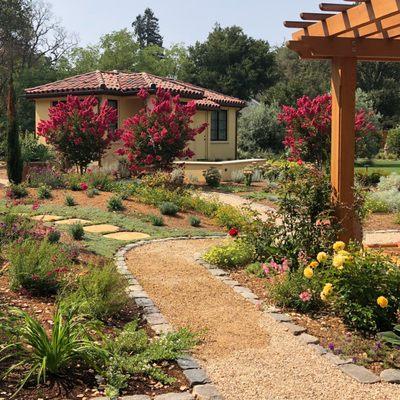 This Atherton landscape invokes a Mediterranean journey with gravel and stone paths and drought tolerant plantings.