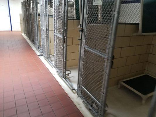 More empty Kennels