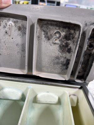 MOLD covering the inside lids and down the spout where detergent goes. Meaning: it takes mold down into your clothes with detergent!