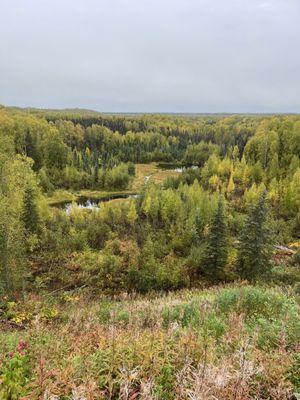 Overlook from their deck