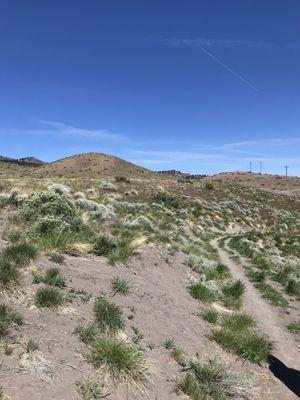 Along the trail