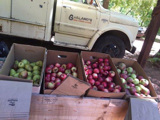 Yummy apples and pears