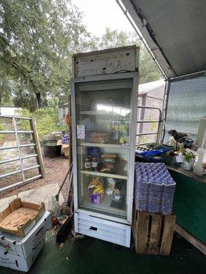 We bought a sourdough kit out of this fridge!