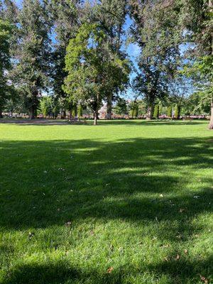 View of the Rose Garden from the very cool shaded picnic table!