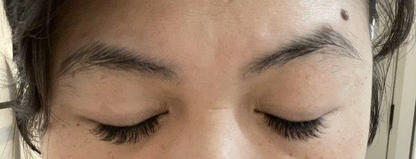 Day 1 of my lash refill - I asked for a natural look. I'm super happy with the results.