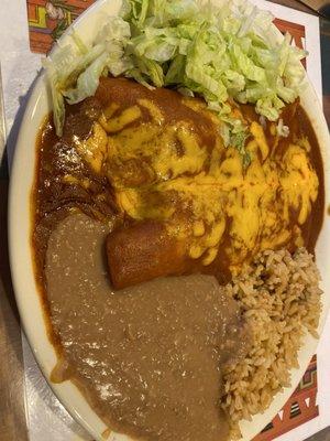 Chicken enchilada lunch plate