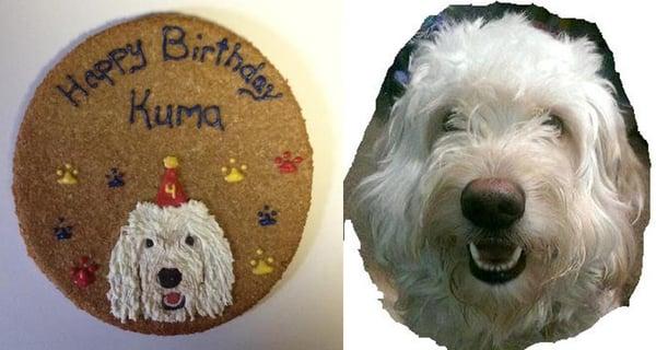 Doggie Birthday Cakes!