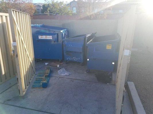 Commercial dumpster area (before).