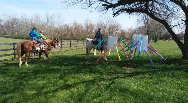 Obstacle Play Days